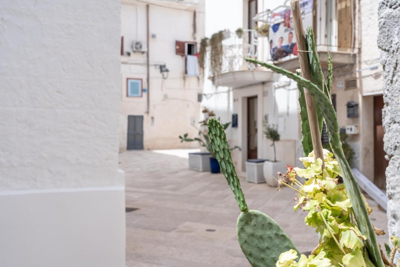 Wineart House, Terracielo Indipendente Nel Centro Di Monopoli Lejlighed Eksteriør billede