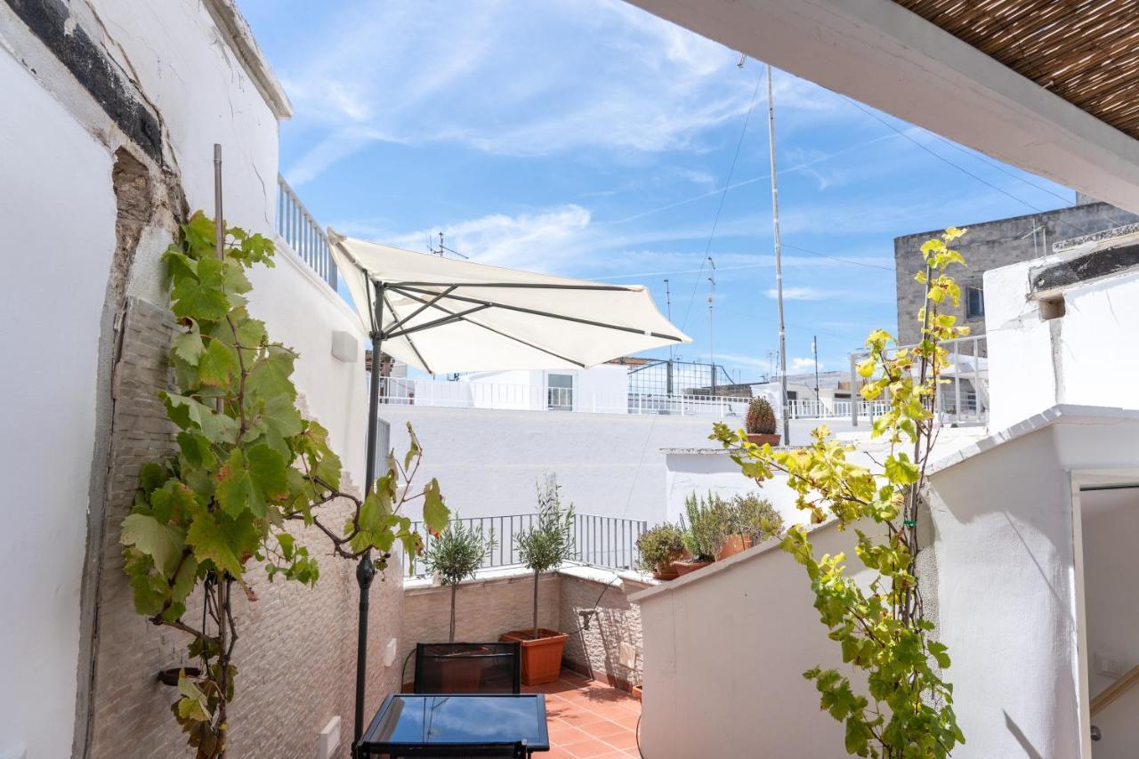 Wineart House, Terracielo Indipendente Nel Centro Di Monopoli Lejlighed Eksteriør billede